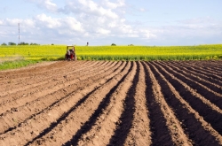 Lavorazione Terreno